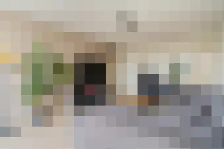 Olijflaan 29 Rotterdam thumbnail 7