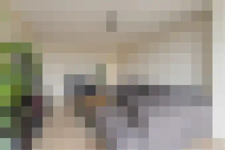 Olijflaan 29 Rotterdam thumbnail 8