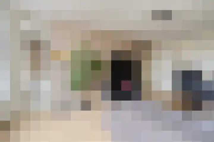 Olijflaan 29 Rotterdam thumbnail 9