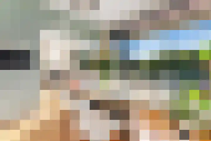 Olijflaan 47 Rotterdam thumbnail 12