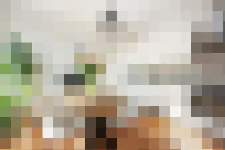 Olijflaan 47 Rotterdam thumbnail 13