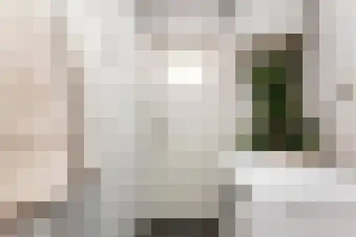 Olijflaan 47 Rotterdam thumbnail 24