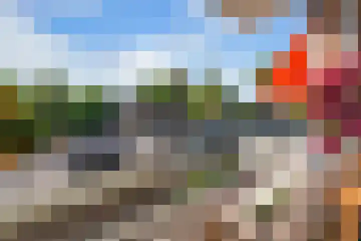Olijflaan 47 Rotterdam thumbnail 26