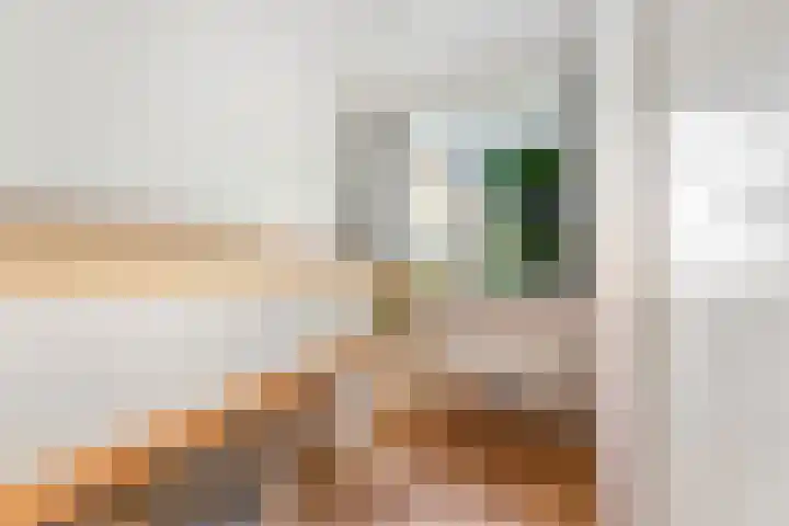 Olijflaan 47 Rotterdam thumbnail 32