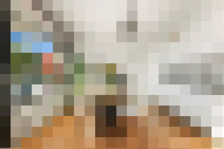 Olijflaan 47 Rotterdam thumbnail 4