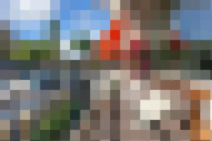 Olijflaan 47 Rotterdam thumbnail 5