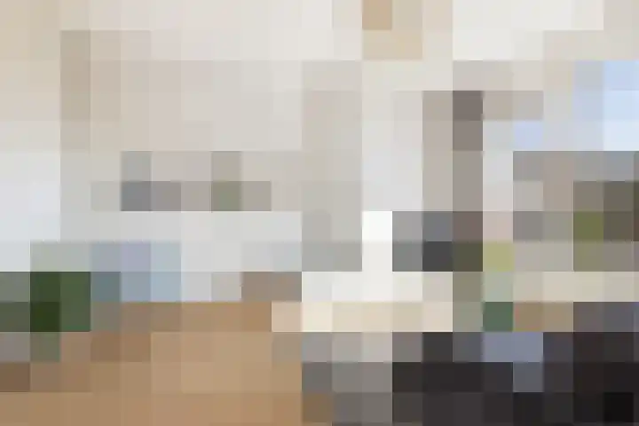 Olijflaan 67 Rotterdam thumbnail 14