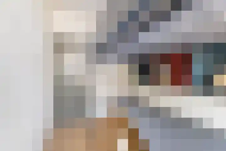 Olijflaan 67 Rotterdam thumbnail 21
