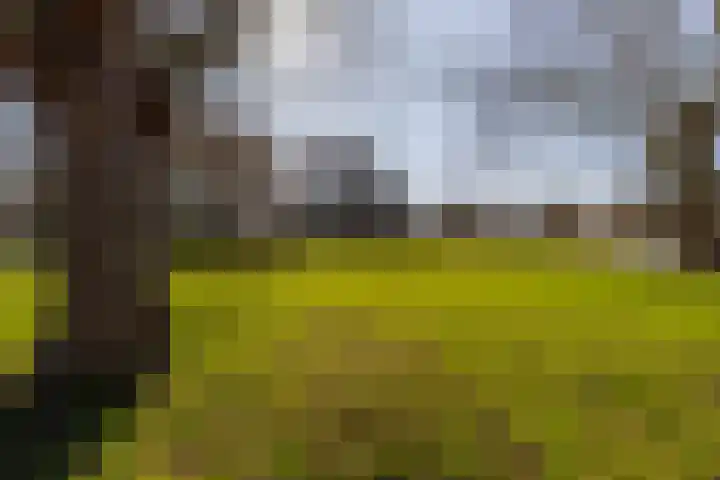 Olijflaan 67 Rotterdam thumbnail 30