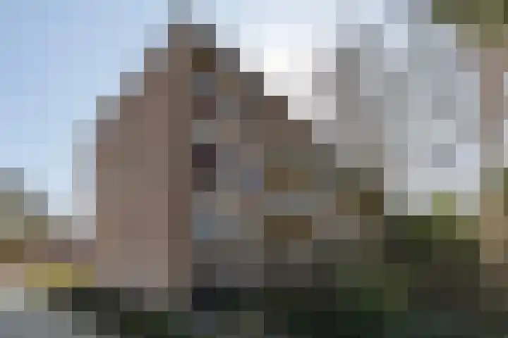 Olijflaan 67 Rotterdam thumbnail 32