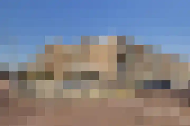Olijflaan 67 Rotterdam thumbnail 33