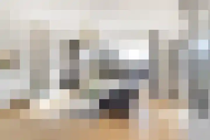 Olijflaan 67 Rotterdam thumbnail 6