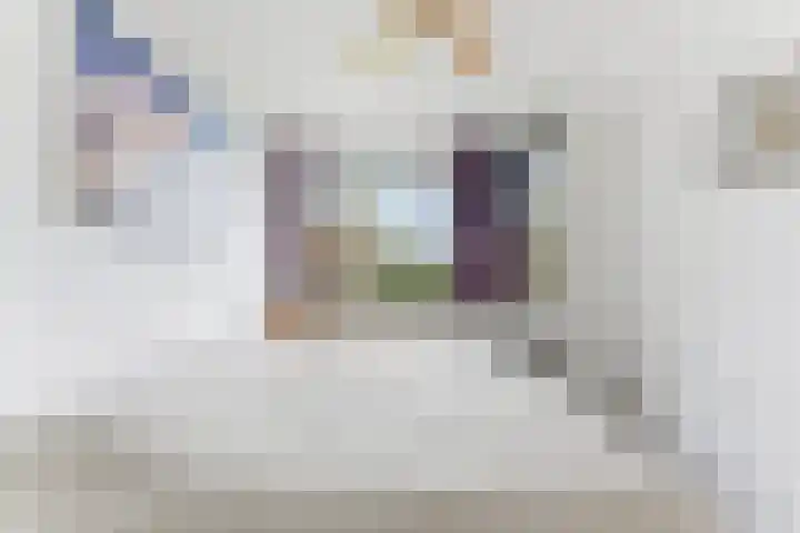 Olijflaan 71 Rotterdam thumbnail 22