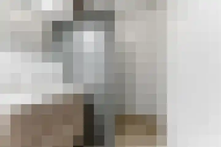 Olijflaan 71 Rotterdam thumbnail 24