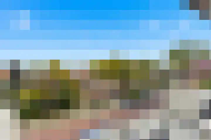 Olijflaan 71 Rotterdam thumbnail 31