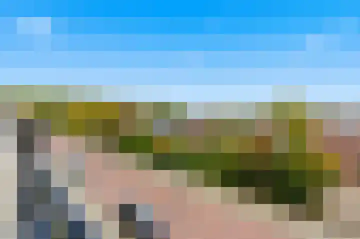 Olijflaan 71 Rotterdam thumbnail 33