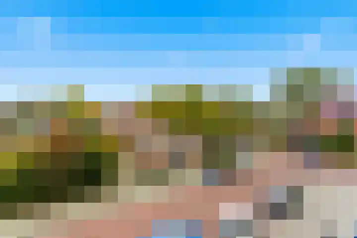 Olijflaan 71 Rotterdam thumbnail 34