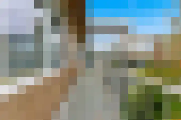 Olijflaan 71 Rotterdam thumbnail 35