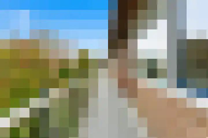 Olijflaan 71 Rotterdam thumbnail 36
