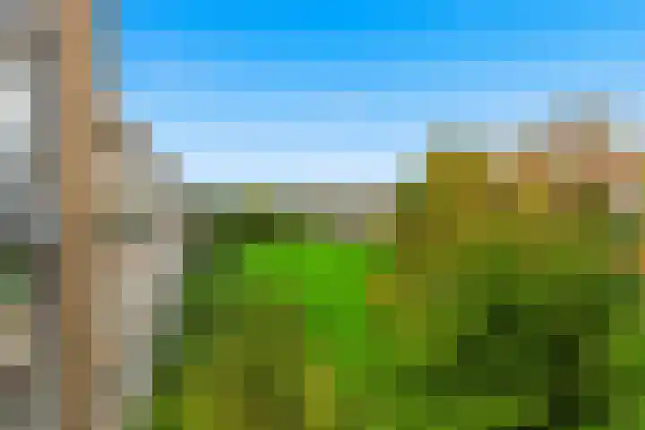 Olijflaan 71 Rotterdam thumbnail 37