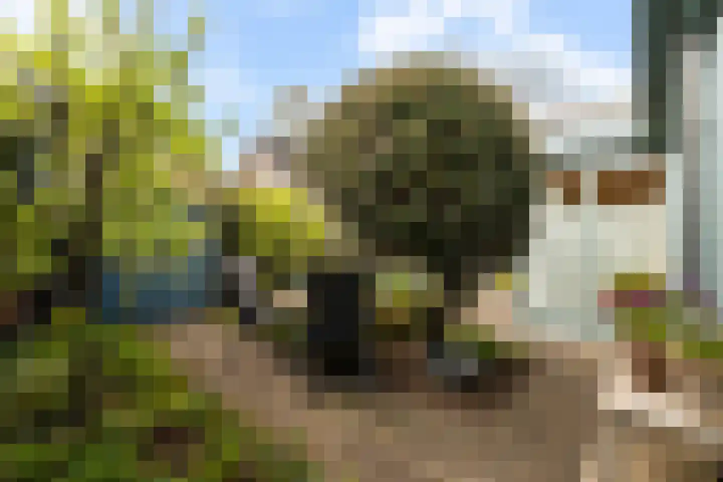 Olijkeweg 25 Soest thumbnail 18