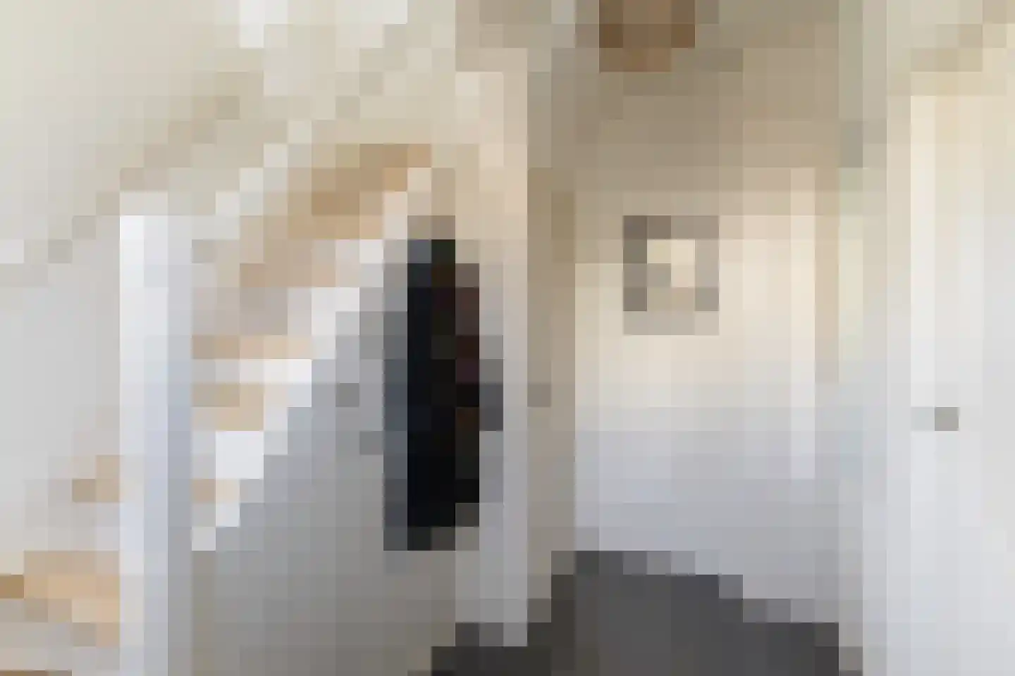 Olijkeweg 25 Soest thumbnail 4