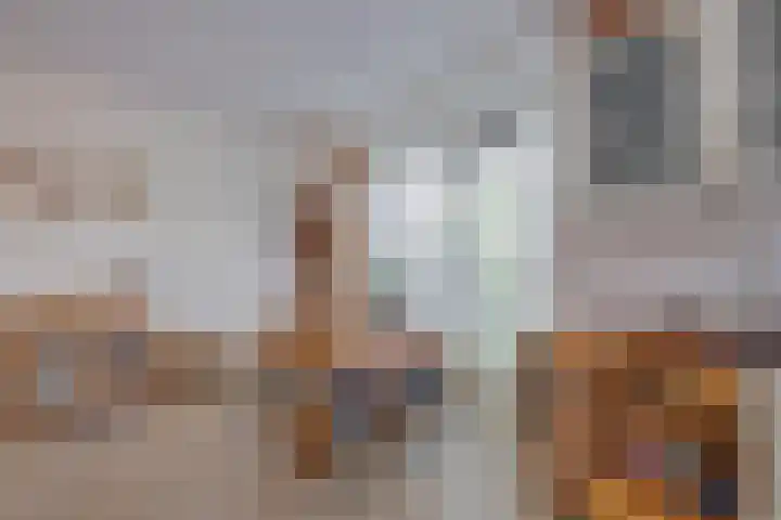 Olijslagweg 39 Lochem thumbnail 10