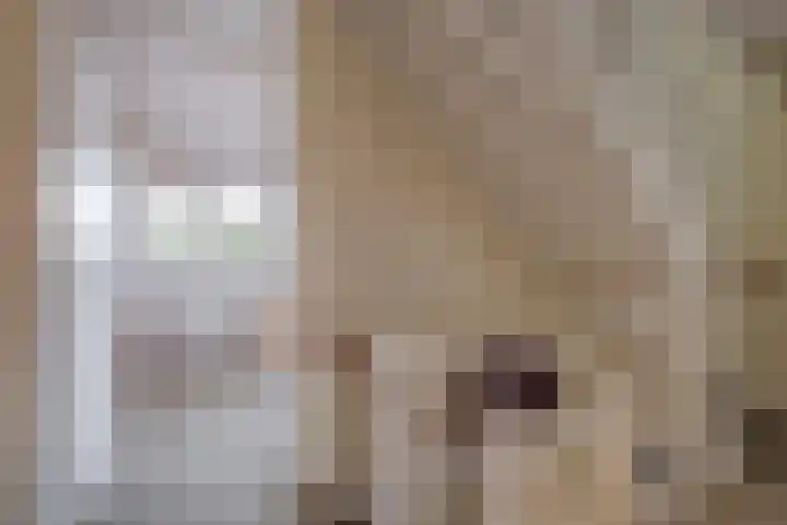 Olijslagweg 39 Lochem thumbnail 17