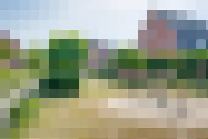 Olijslagweg 39 Lochem thumbnail 27