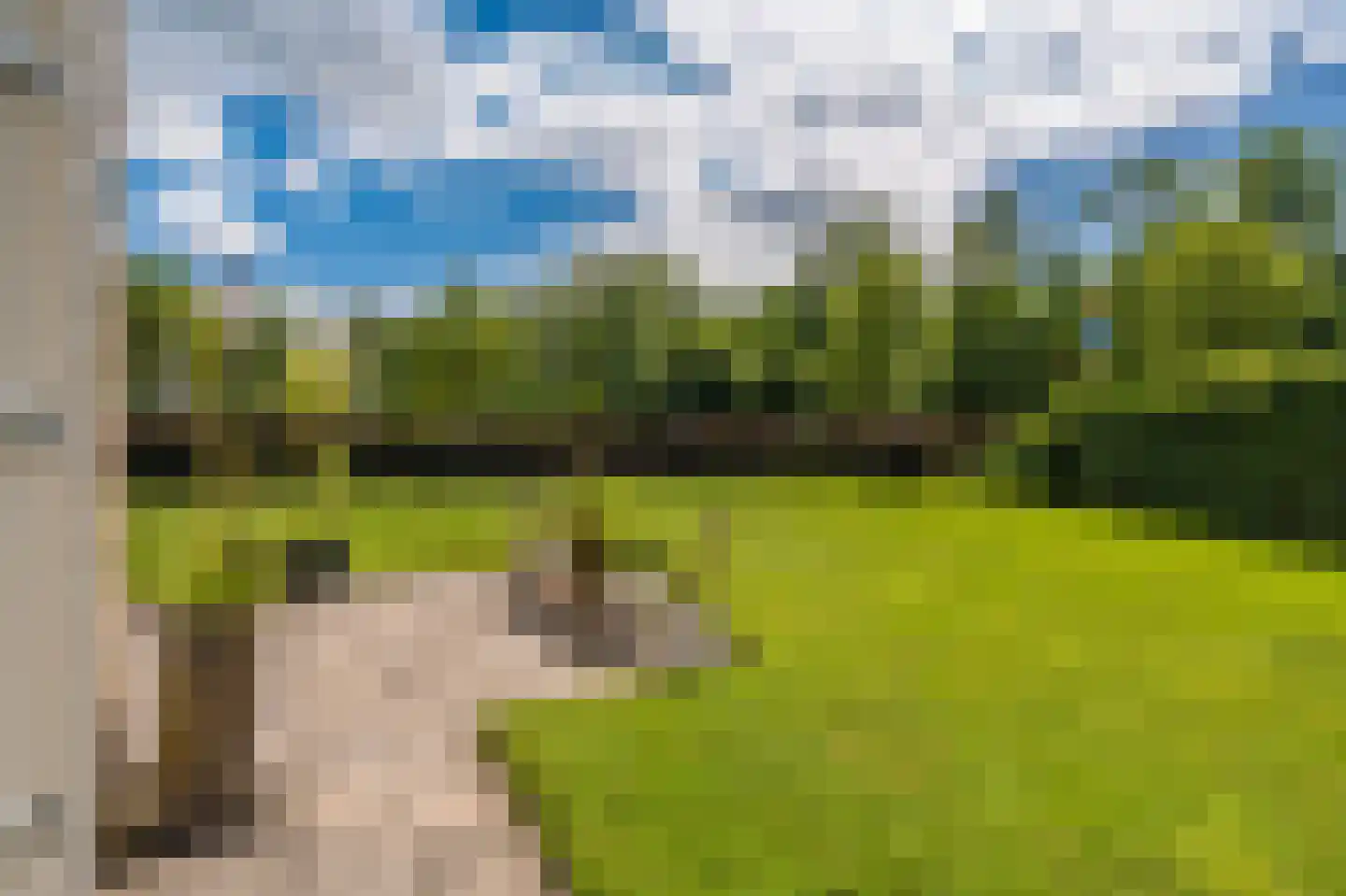 Olingermeeden 58 Appingedam thumbnail 19