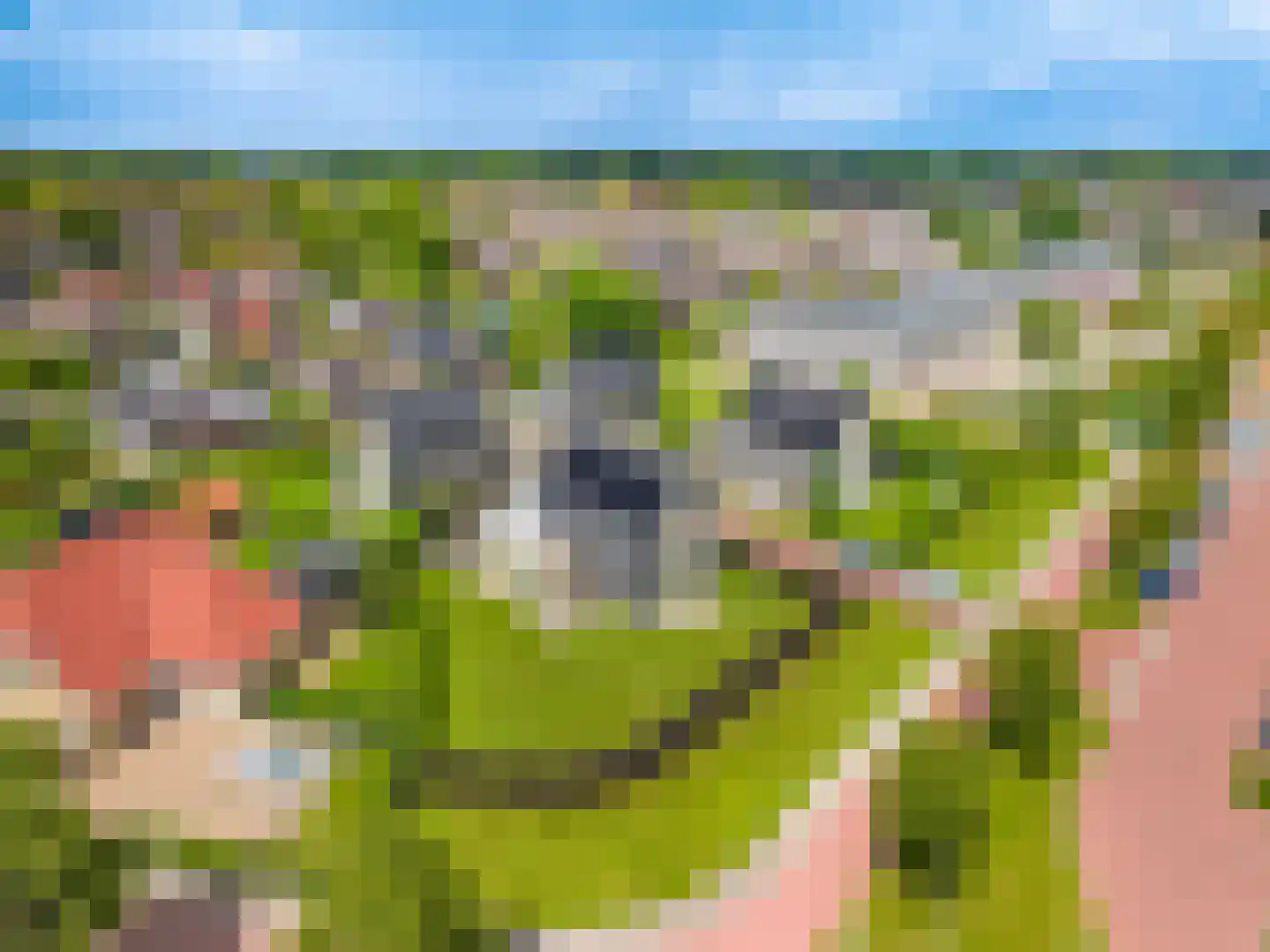 Olingermeeden 58 Appingedam thumbnail 21