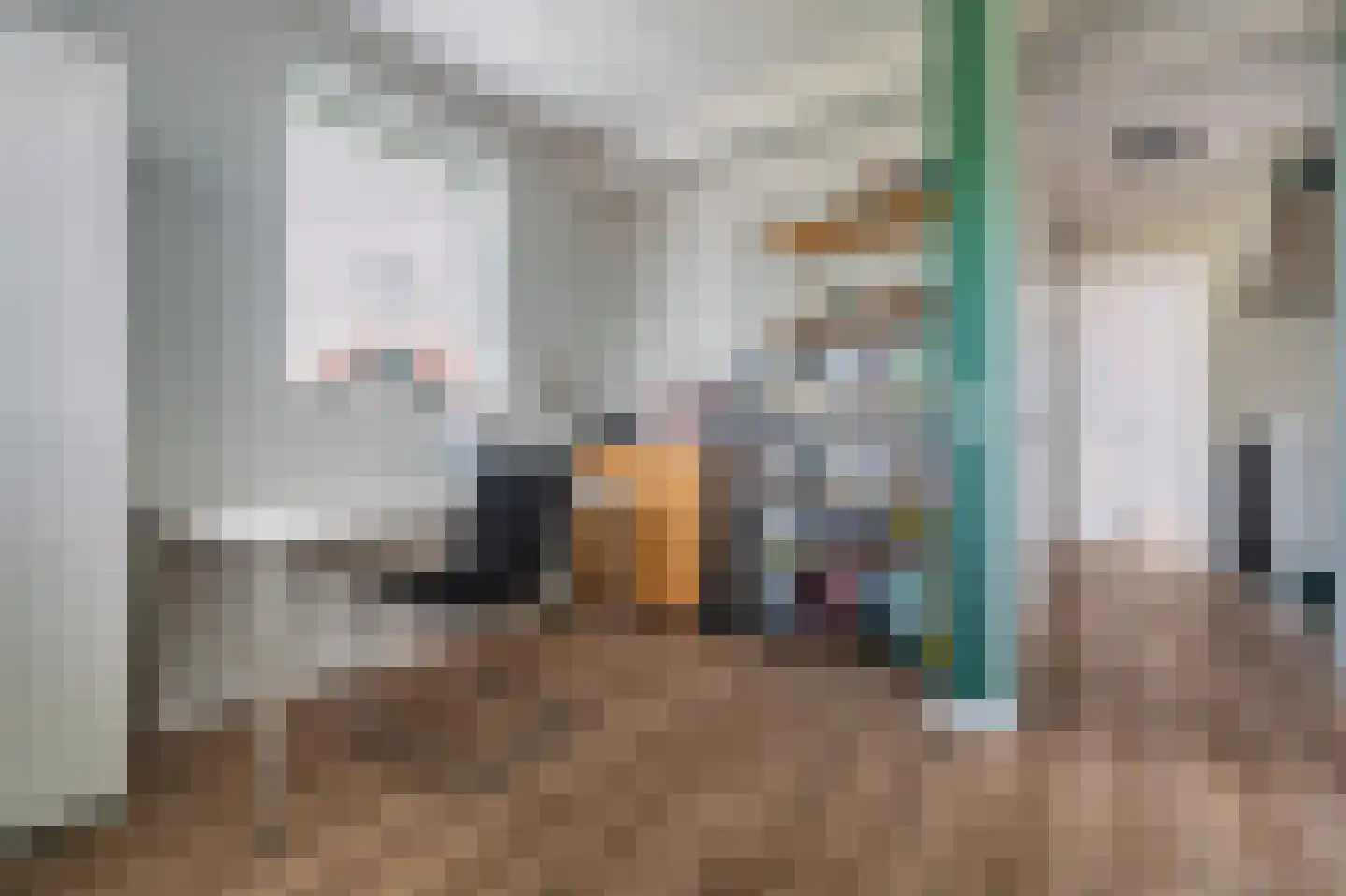 Olingermeeden 58 Appingedam thumbnail 53