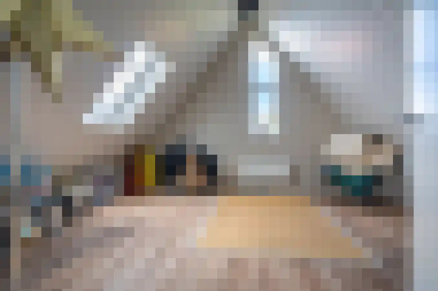 Olingermeeden 58 Appingedam thumbnail 62
