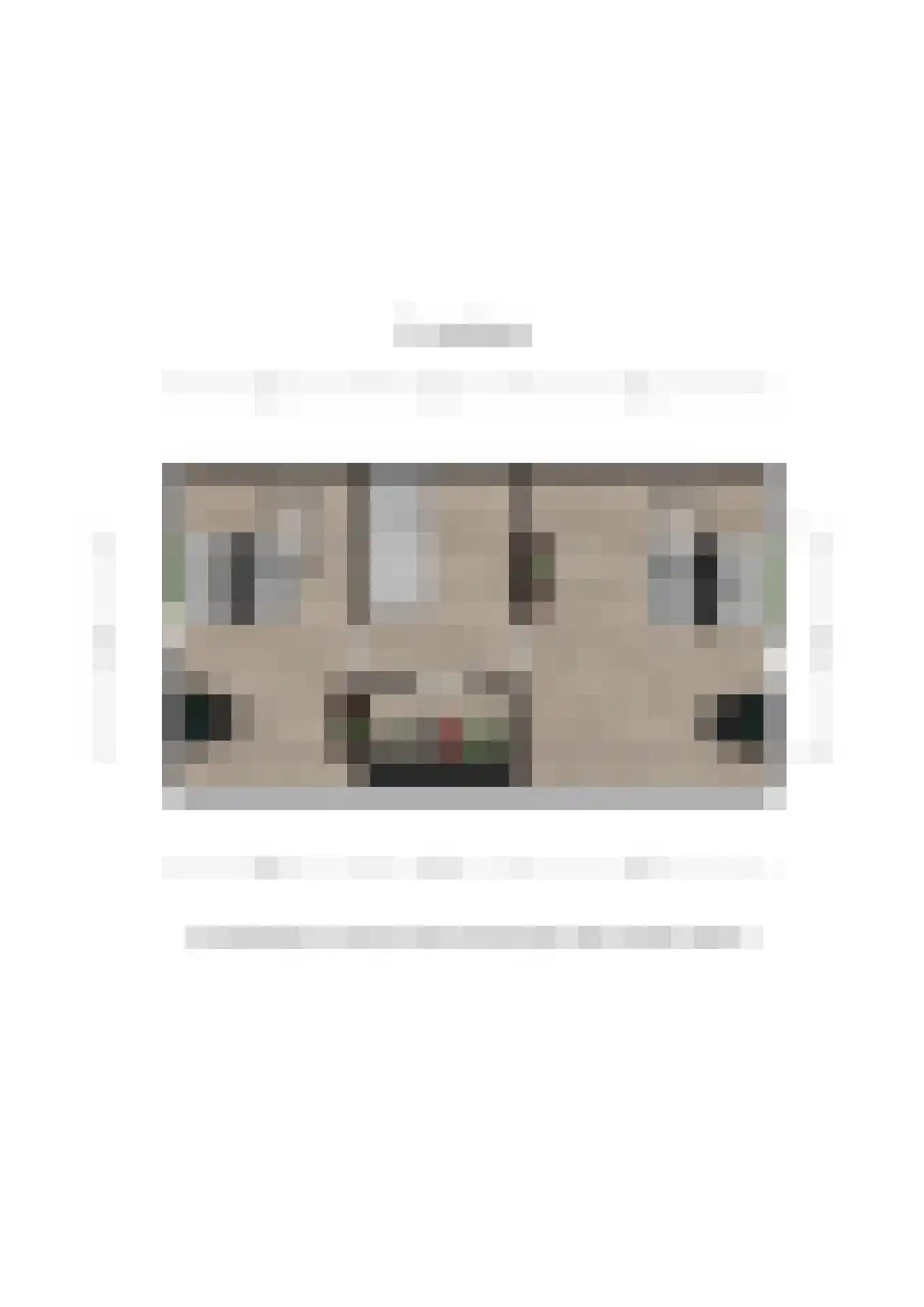 Olingermeeden 58 Appingedam thumbnail 66