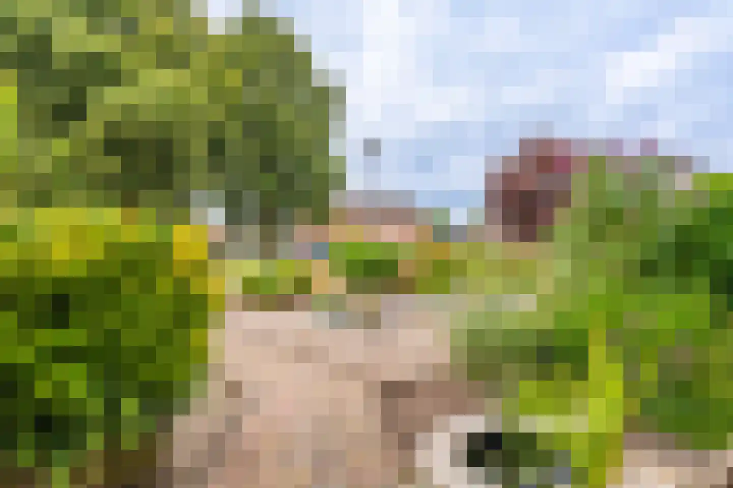 Olinglaan 3 Onstwedde thumbnail 10