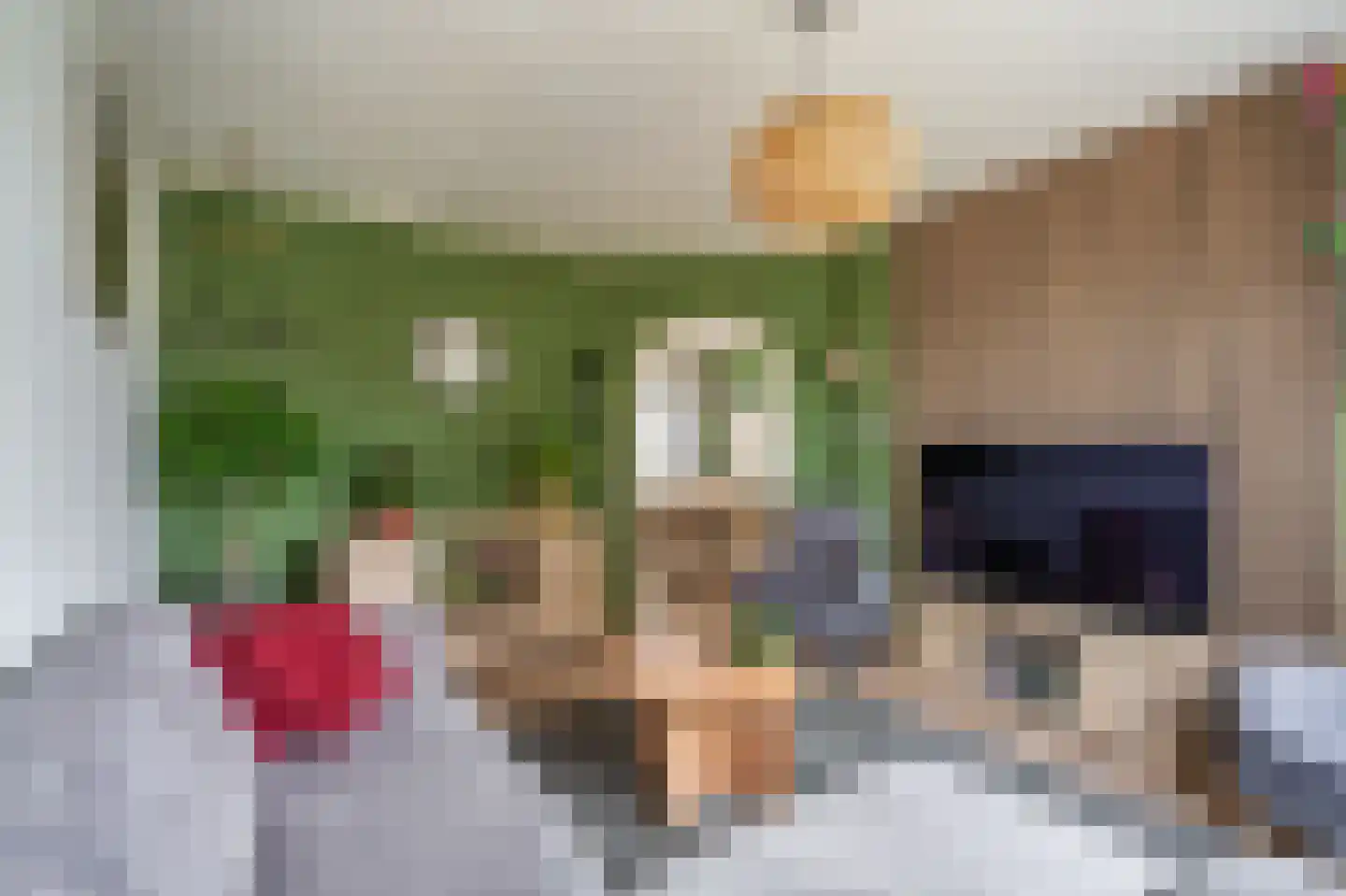 Olinglaan 3 Onstwedde thumbnail 19