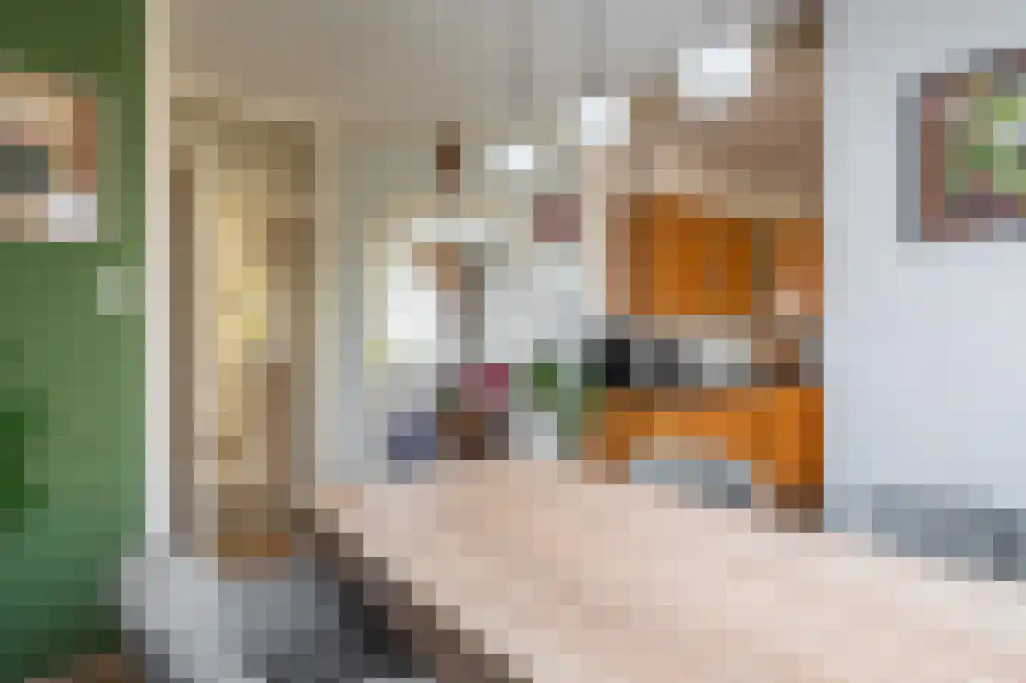 Olinglaan 3 Onstwedde thumbnail 23