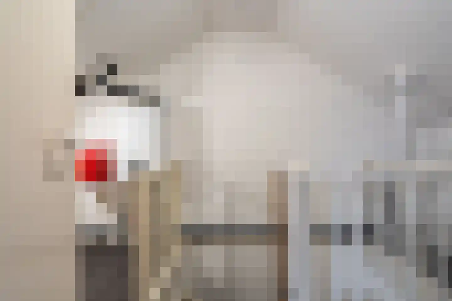 Olinglaan 3 Onstwedde thumbnail 45