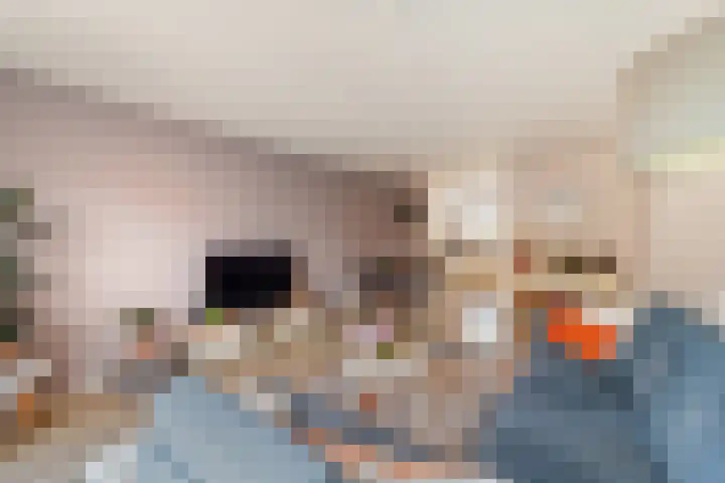 Olivien 34 's-Gravenzande thumbnail 8
