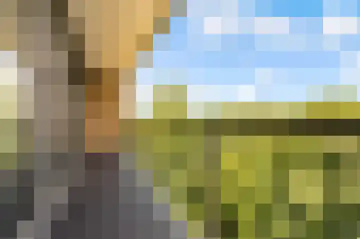 Olivier B. Bommelhof 16 Almere thumbnail 20