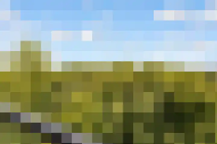 Olivier B. Bommelhof 16 Almere thumbnail 21