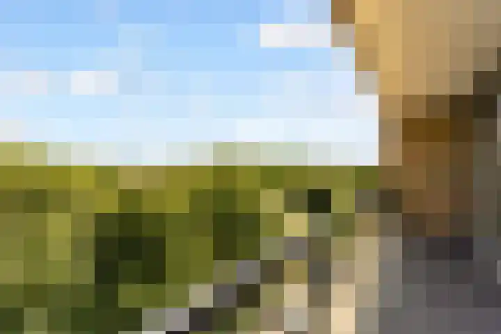 Olivier B. Bommelhof 16 Almere thumbnail 22