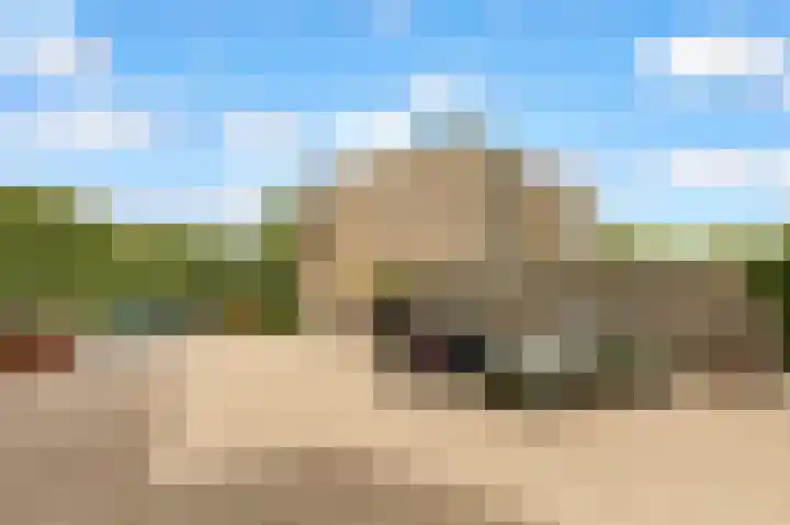 Olivier B. Bommelhof 16 Almere thumbnail 31