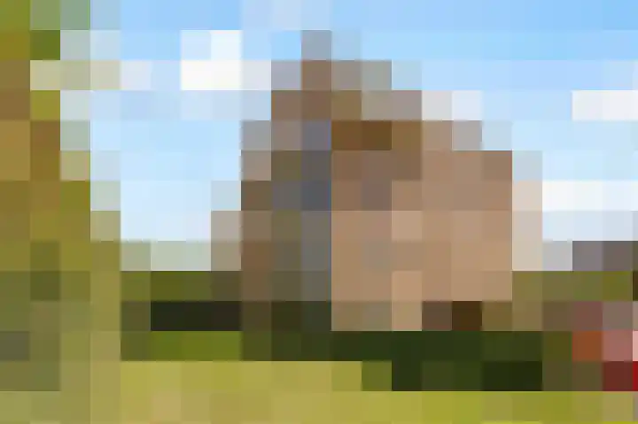 Olivier B. Bommelhof 16 Almere thumbnail 32