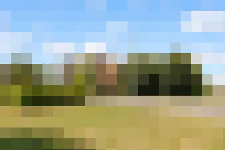 Olivier B. Bommelhof 16 Almere thumbnail 33
