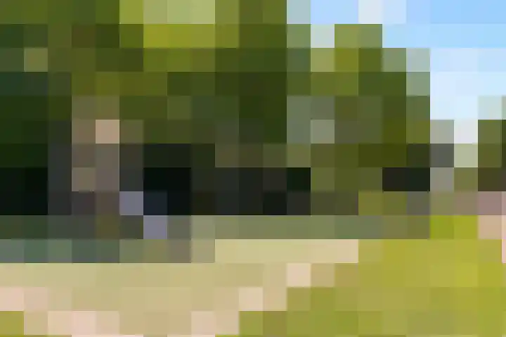 Olivier B. Bommelhof 16 Almere thumbnail 35