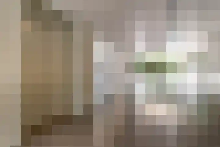 Olivier B. Bommelhof 16 Almere thumbnail 7