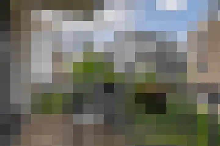 Olivier van Noorthof 7 Almere thumbnail 21