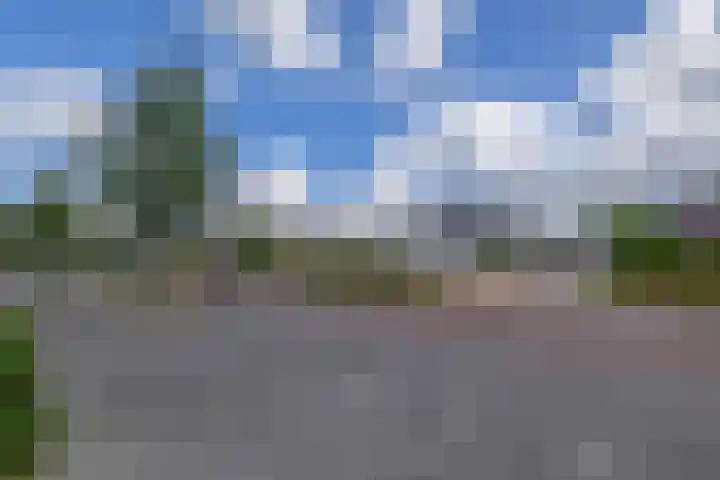 Olivier van Noorthof 7 Almere thumbnail 29