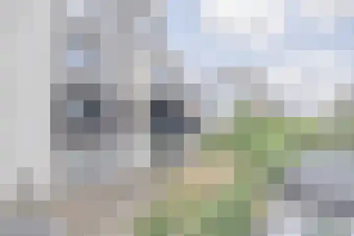 Olivier van Noorthof 7 Almere thumbnail 4